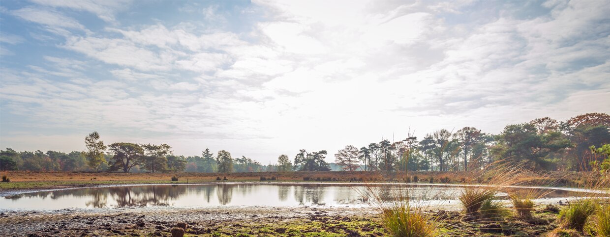 De 5 Mooiste Wandelroutes Van Nederland | Belvilla Blog